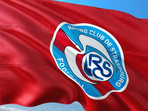 PG电子官网入口-帕尔梅拉斯新援适应良好，世俱杯表现备受期待