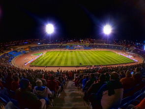 PG电子官网入口-阿尔希拉尔主场气氛火爆,球迷助威成强大后盾