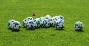 PG游戏官网登录入口-阿尔艾因主场迎战恩菲尔德，锋线火力引爆看点